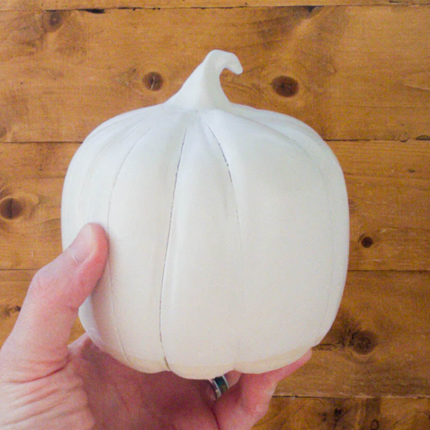 Little White Pumpkin - Taylor