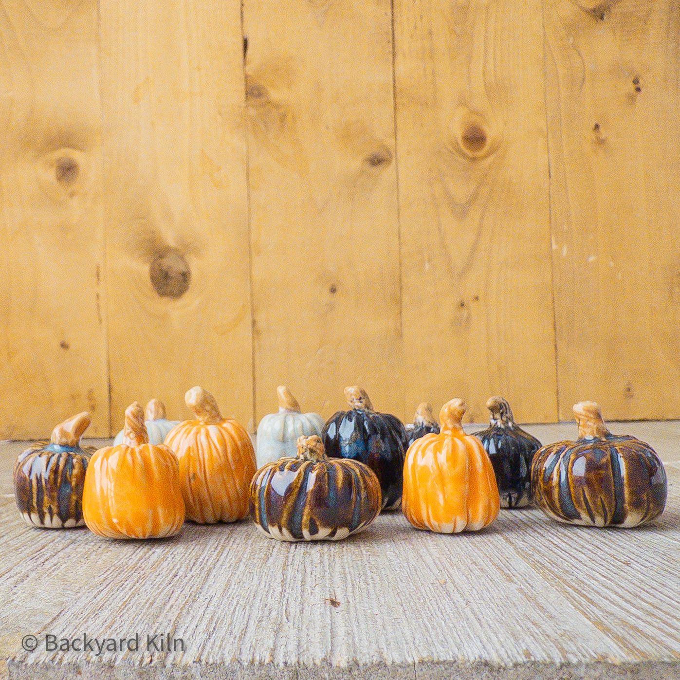 Mini Pumpkins Assorted - Taylor