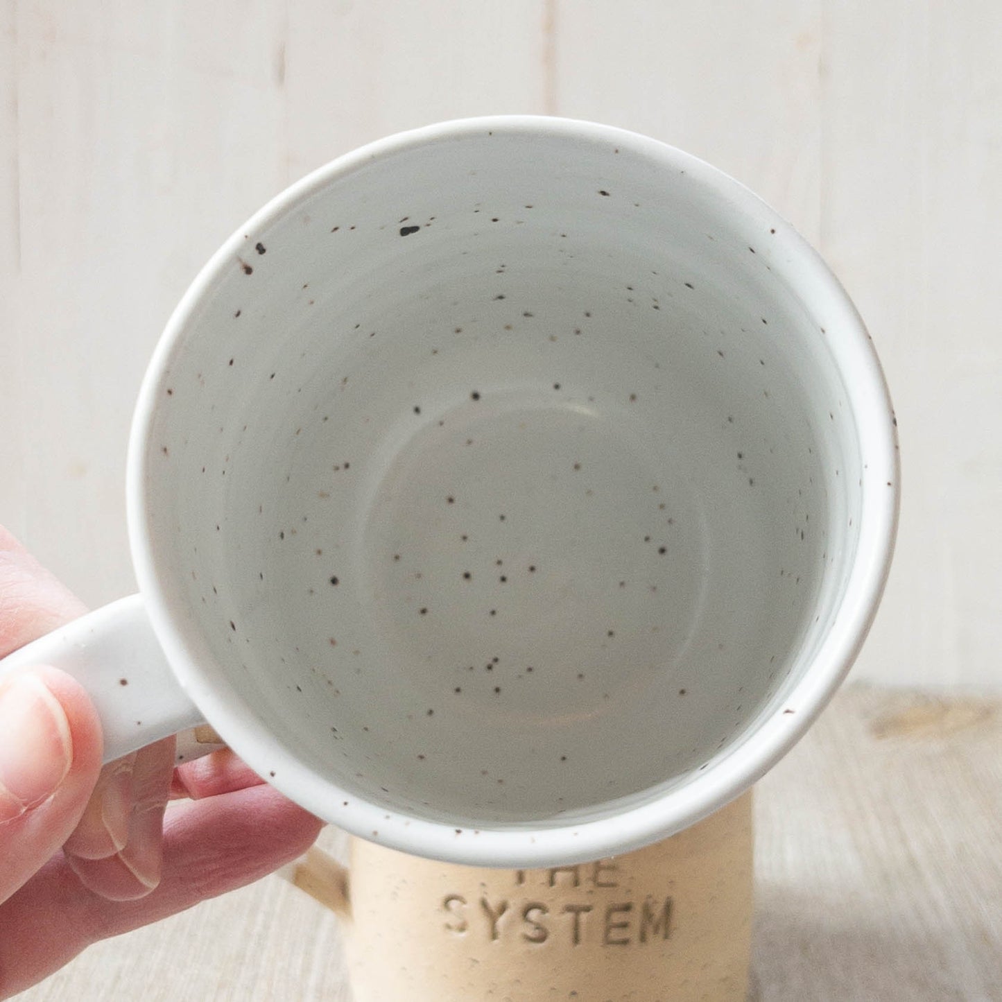 Fuck the System Mug - Taylor