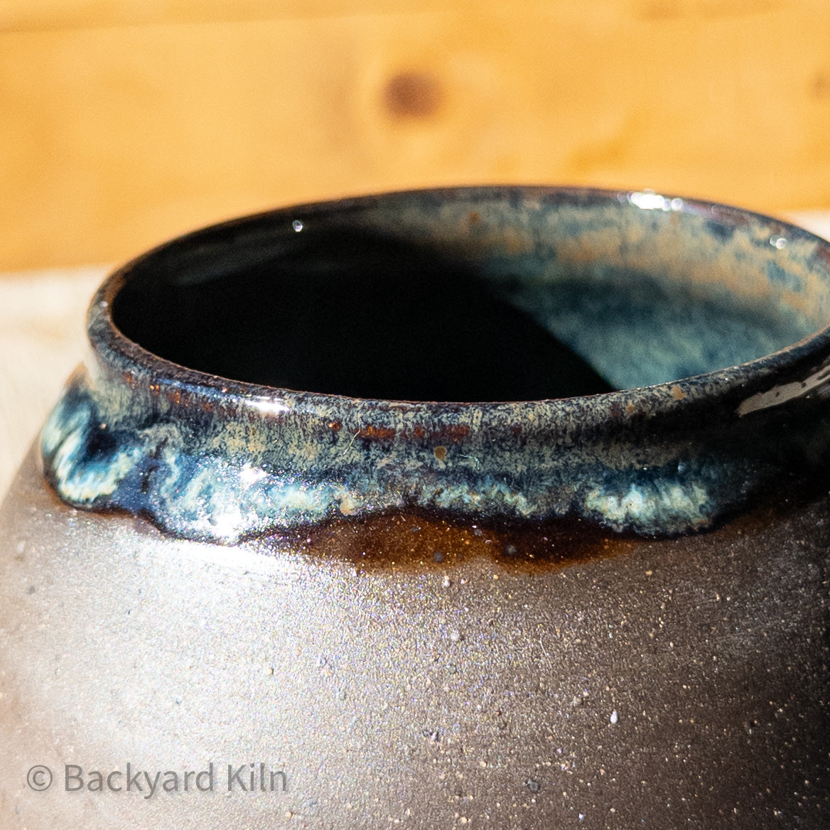 Fundraiser Cat Vase: Emmy 1 by Taylor
