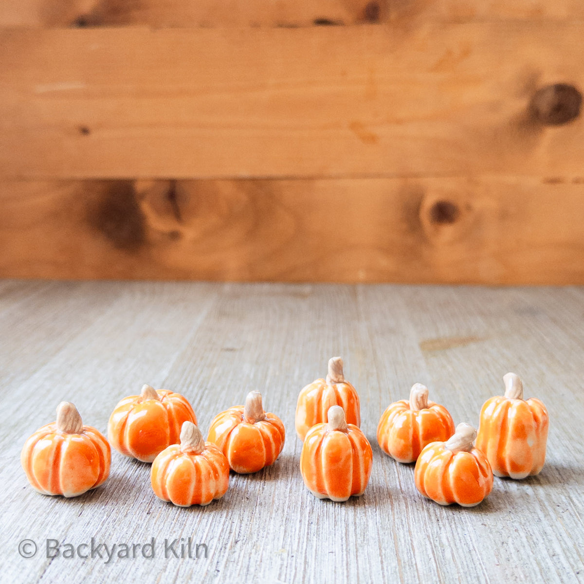 Tiny Pumpkins Assorted (Orange) by Taylor