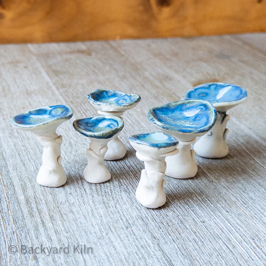 Mini Mushrooms Assorted, White/Blue by Taylor