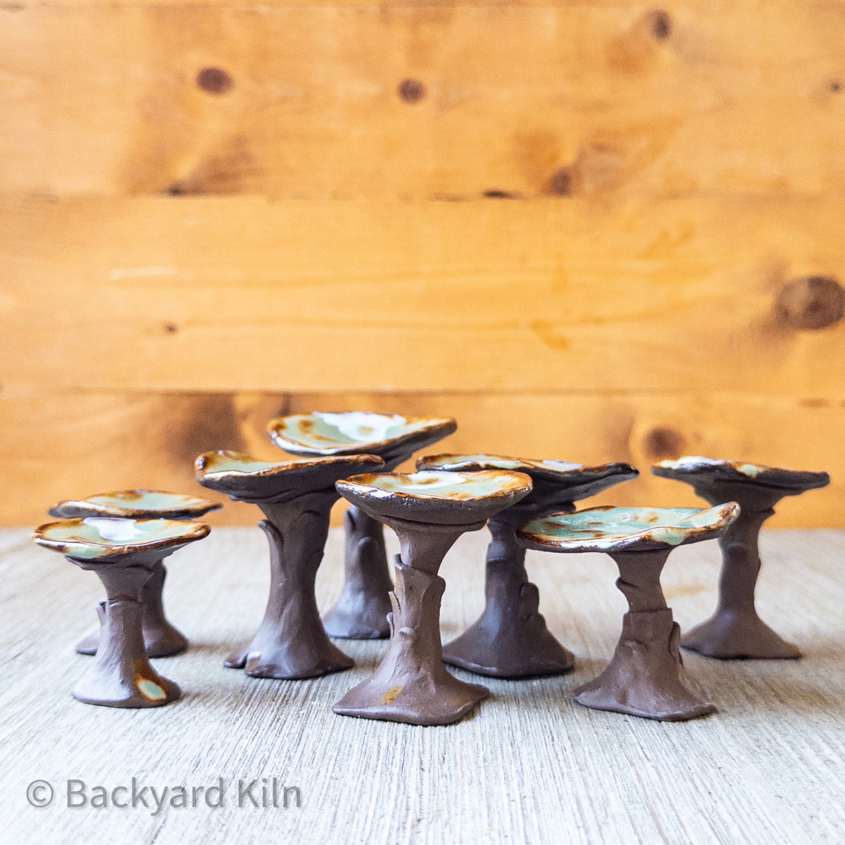 Mini Mushrooms Assorted, Brown/Green by Taylor