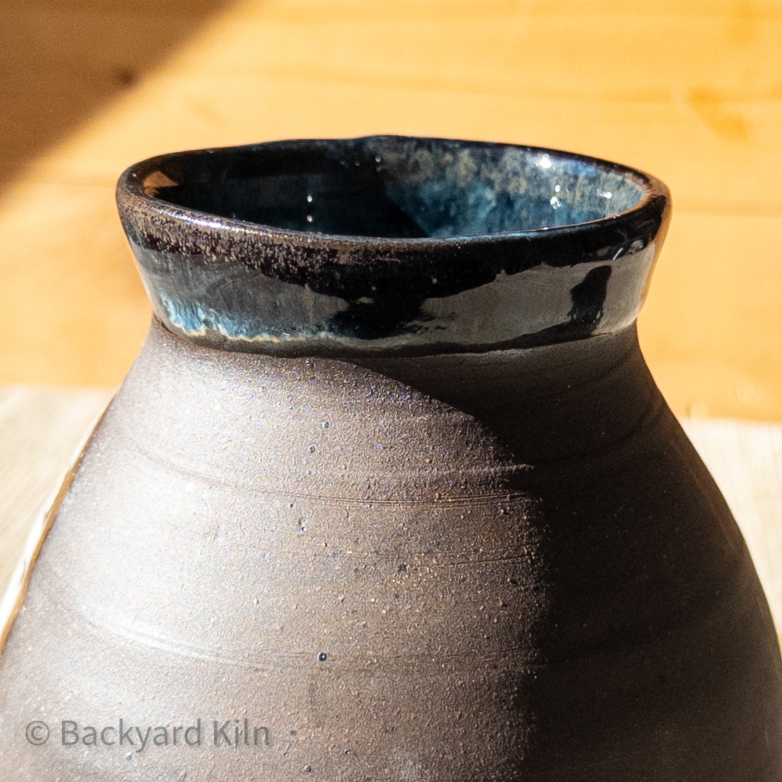 Fundraiser Cat Vase: Chippy 2 by Taylor
